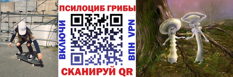 Псилоцибиновые грибы прущие грибы  Бутурлиновка 
