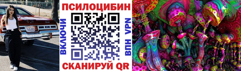 Галлюциногенные грибы Psilocybine cubensis Бутурлиновка